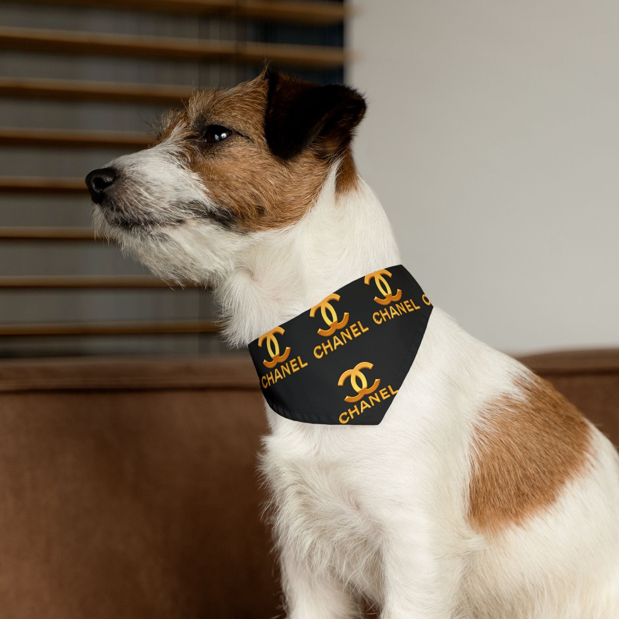 Chanel dog leash hotsell